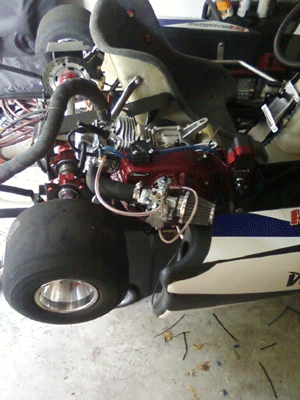 Custom Kart