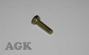 Bolt, Hex Head 1/4-20x1