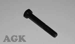 Bolt, Hex Head M8x1.25x55mm
