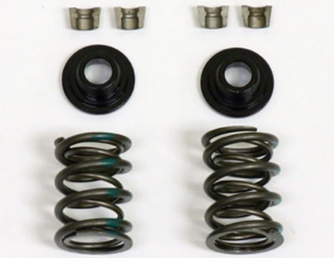 Dual Valve Spring Kit,  40lbs